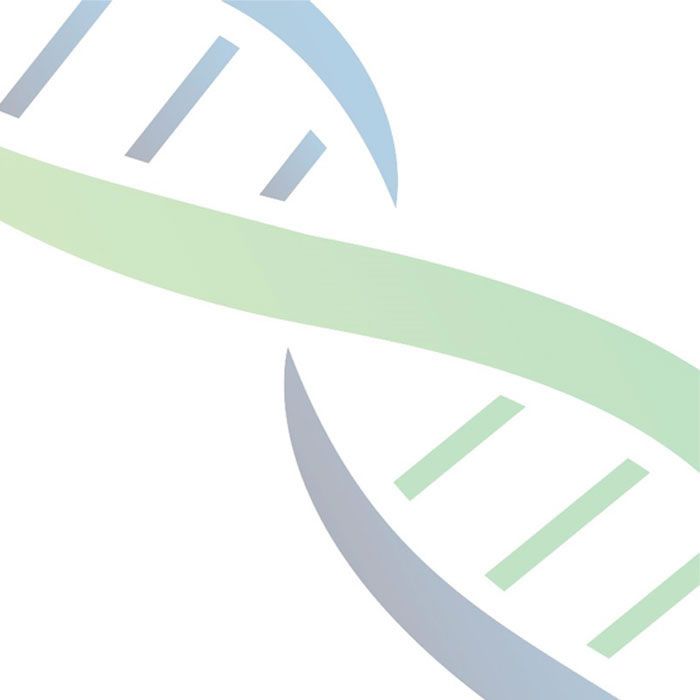 KH Medical RT PCR TEST